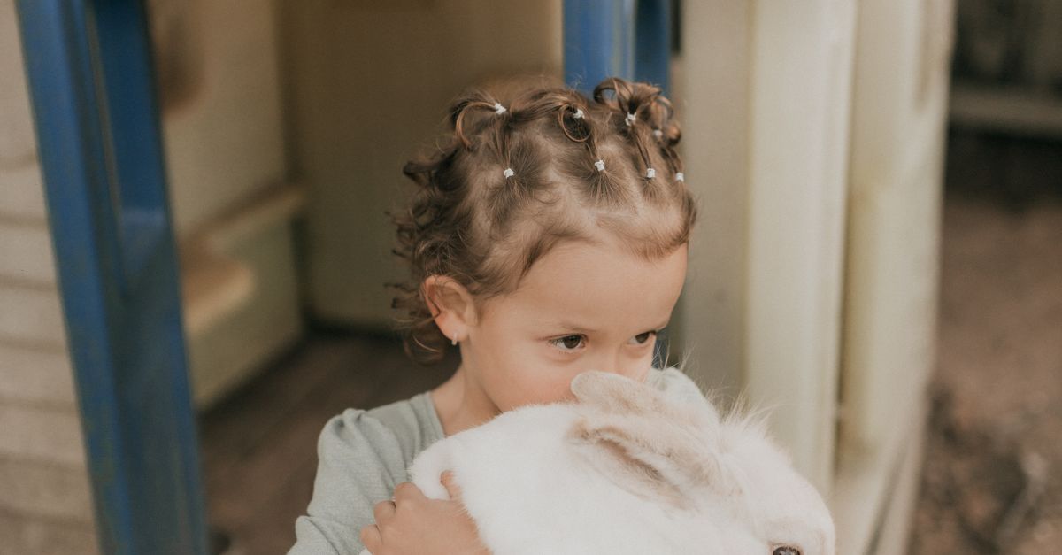 Child hugging white rabbit near playhouse outdoors · Free Stock Photo