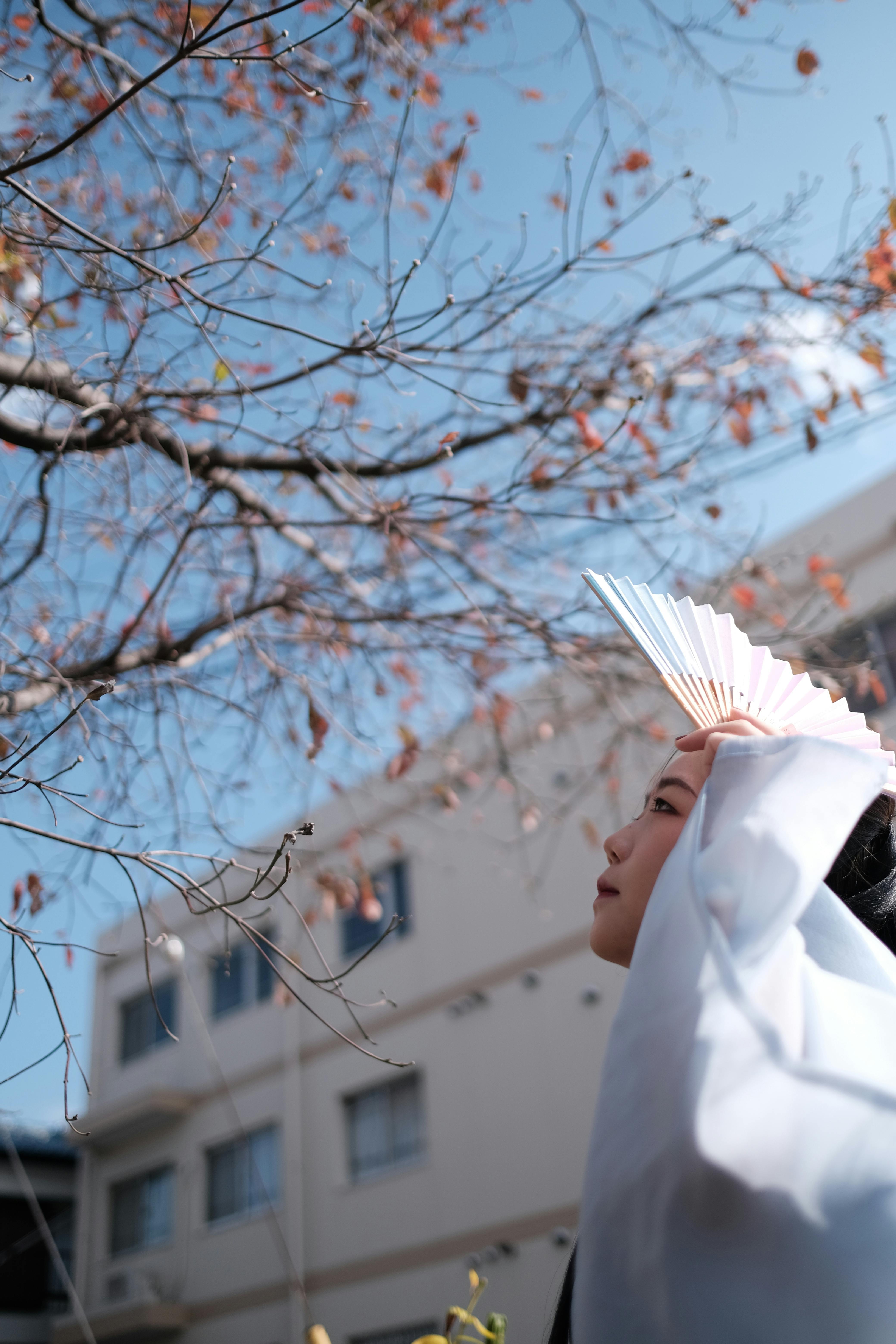 Fan Theories and Predictions for Dept Q Season 2: What Surprises Could We Expect?