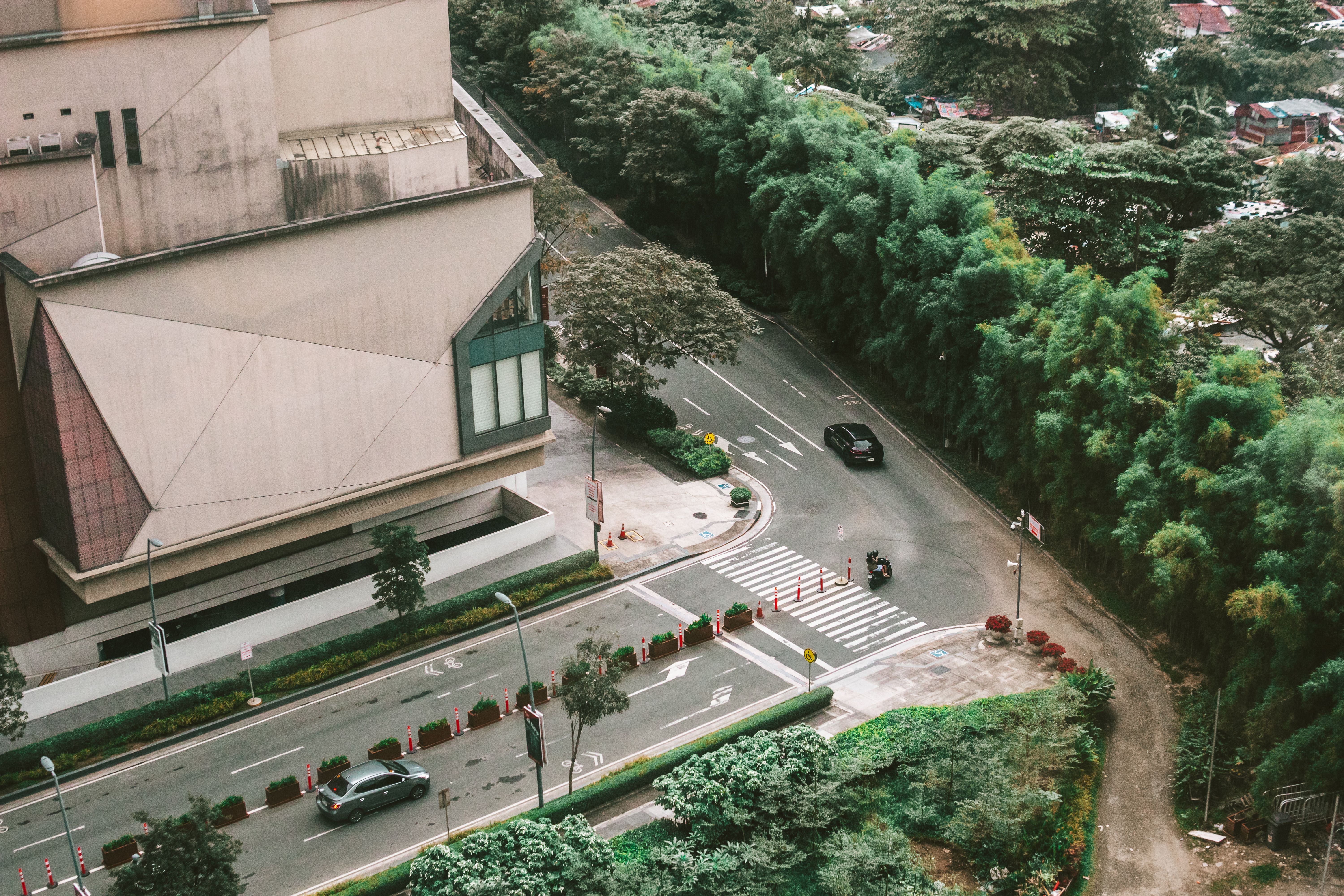 Aerial View of Urban Street with Lush Greenery · Free Stock Photo