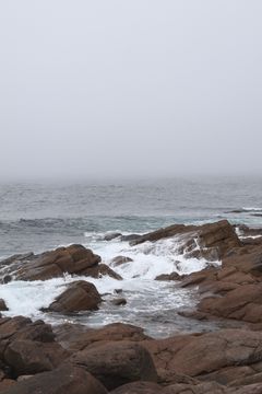 Waves and fog on a rocky coast, photo by Nao xotl on Pexels