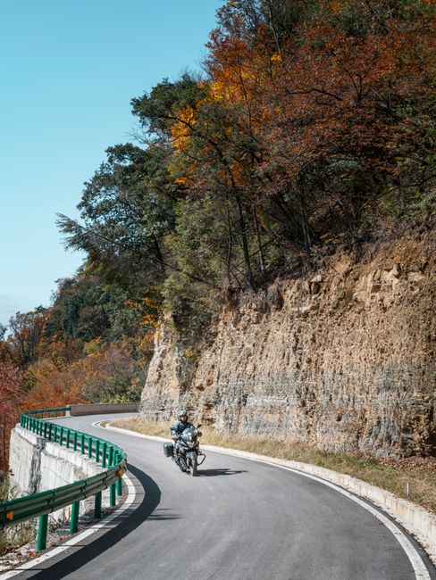 A motorcyclist rides on a curving mountain road lined with colorful autumn trees.