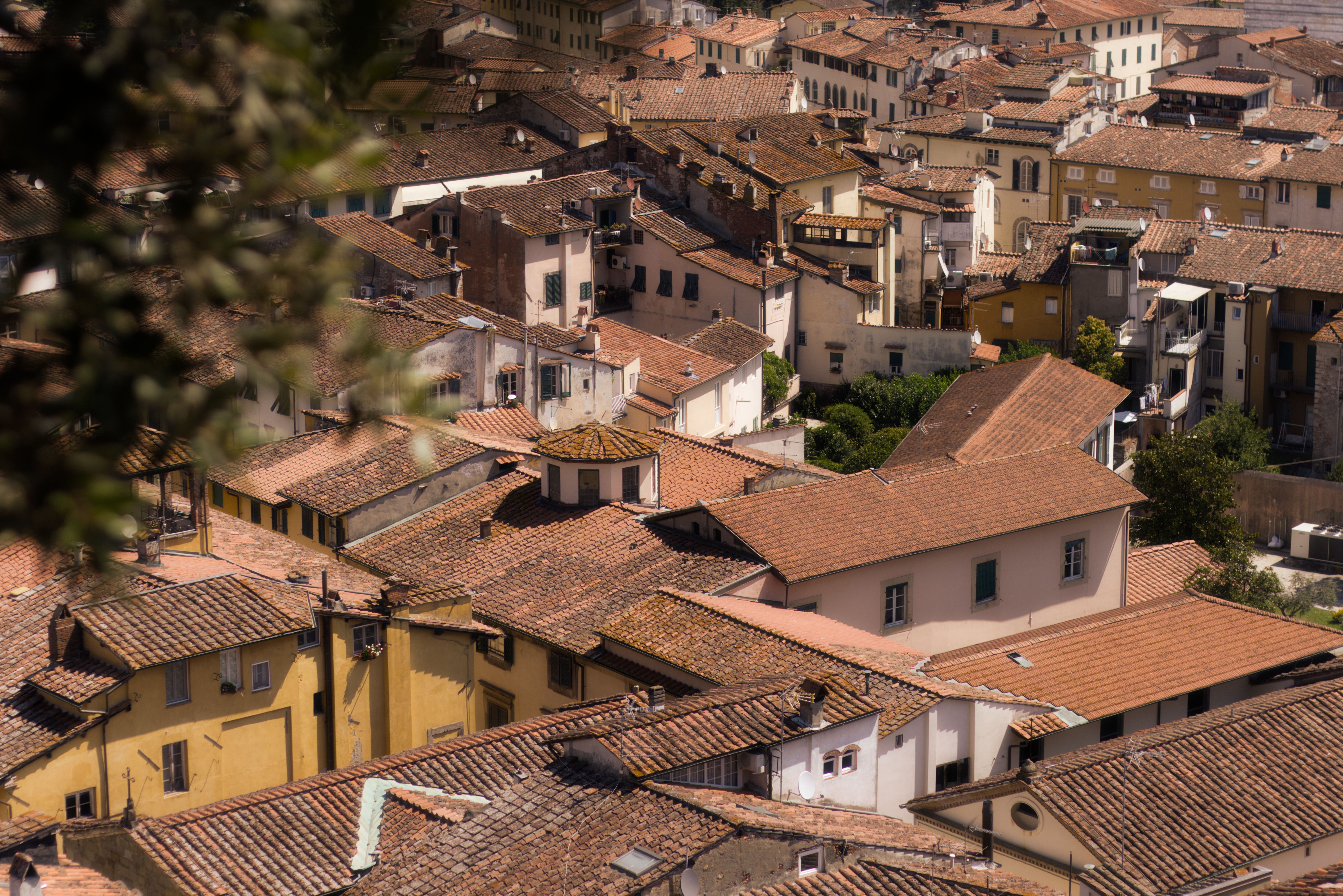 City Guide: Bologna, Italy According To Top Tour Guides — Photo by Botond Dobozi on Pexels