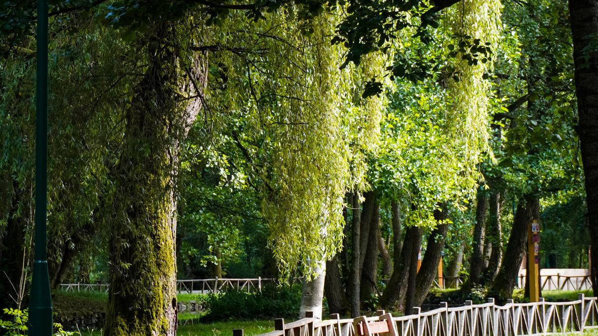 Bien-être en pleine nature