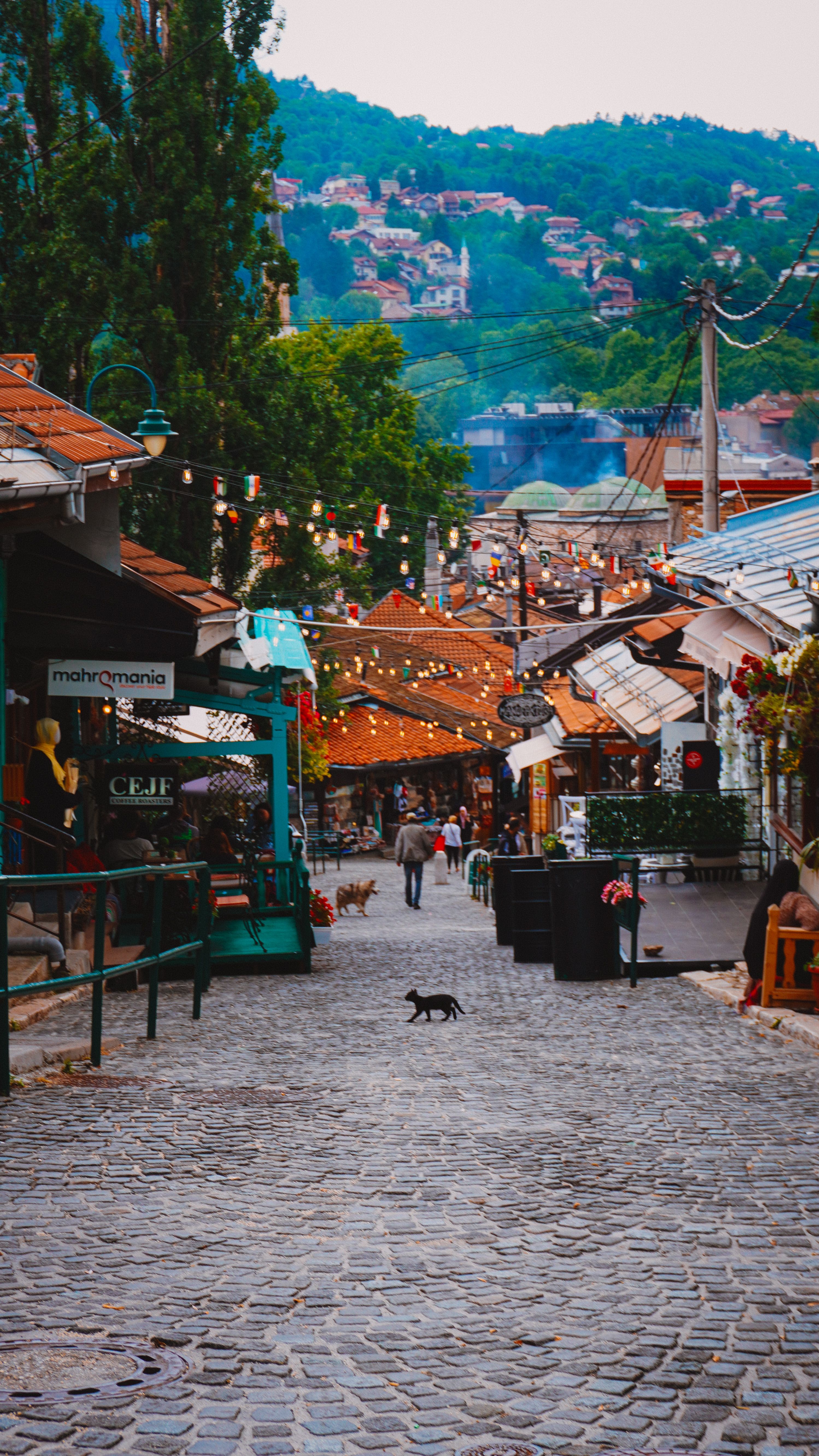 The Impact on Local Communities and Tourism