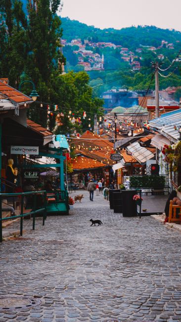 The Impact on Local Communities and Tourism The Impact on Local Communities and Tourism