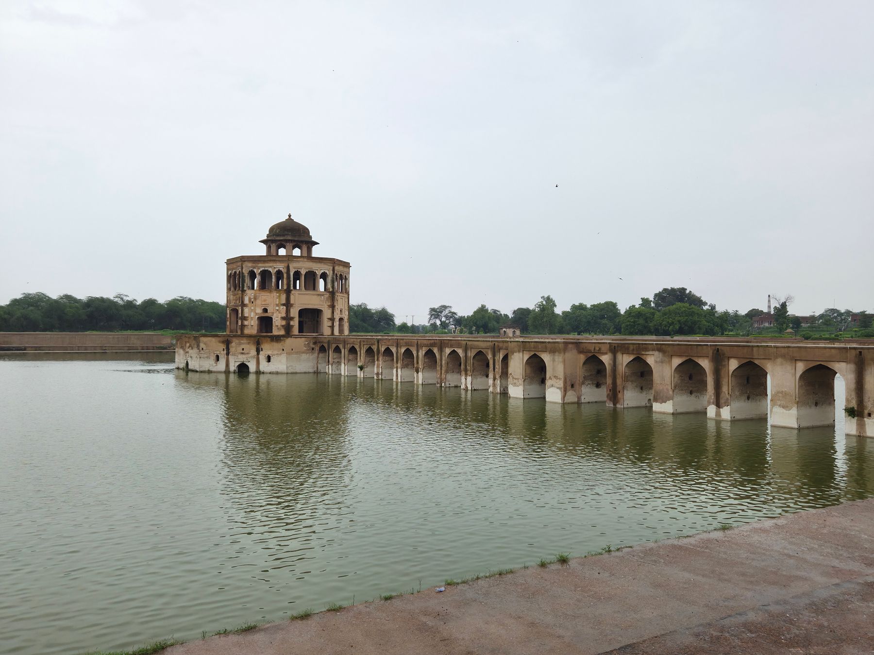 Ropar Wetland and Nangal: A Quiet Nature Weekend from Chandigarh