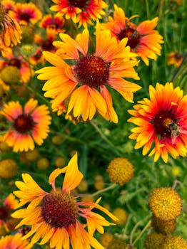 Image by Anton 🦋 Nekhaychik_PHTGRPH