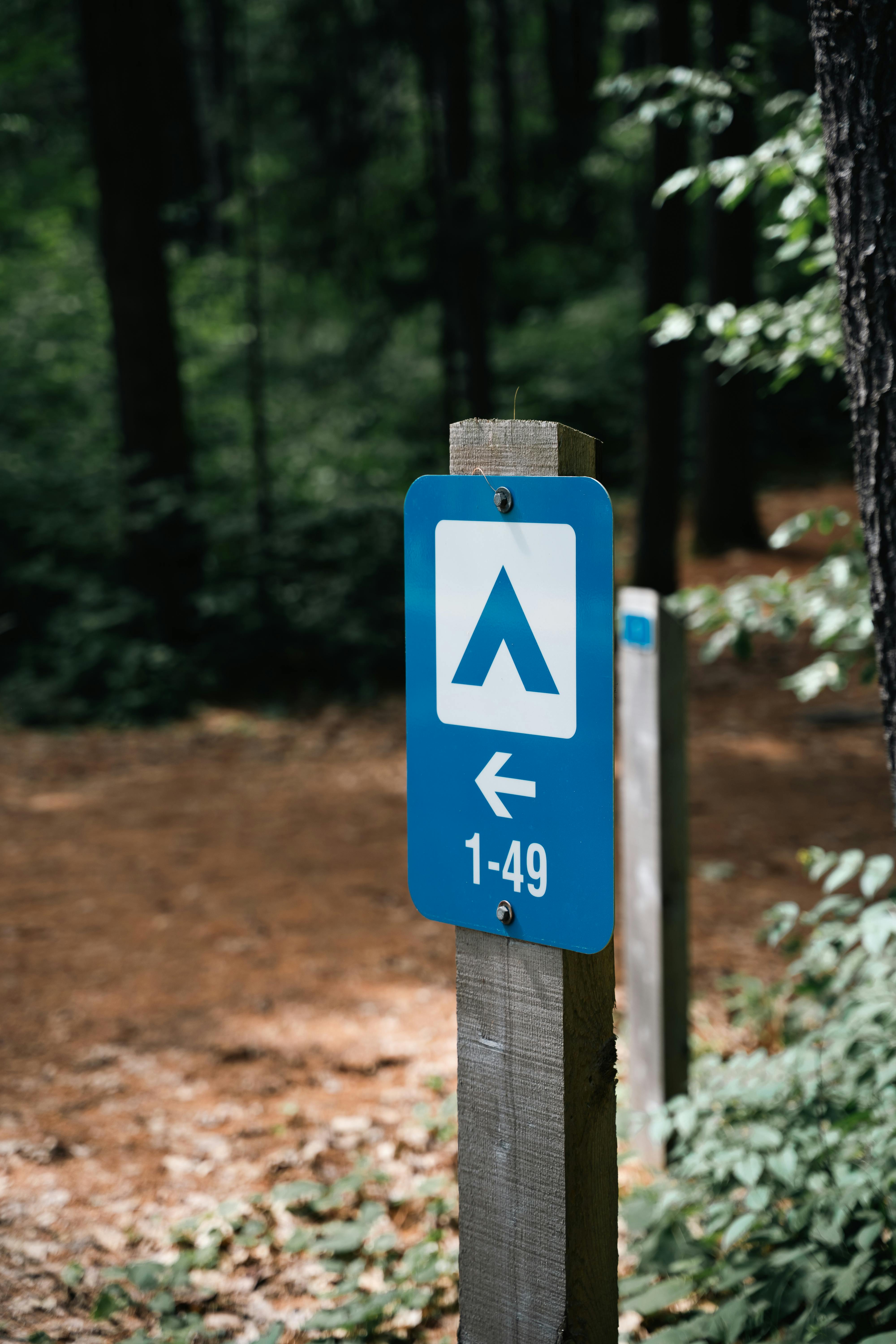 Paul Lake shoreline with forested campground and accessible pathway