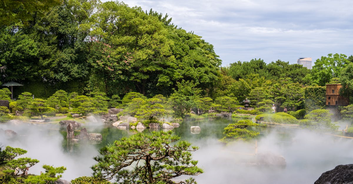 How to Create a Zen Garden for Relaxation