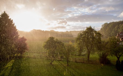 Free stock photo of rain, sun