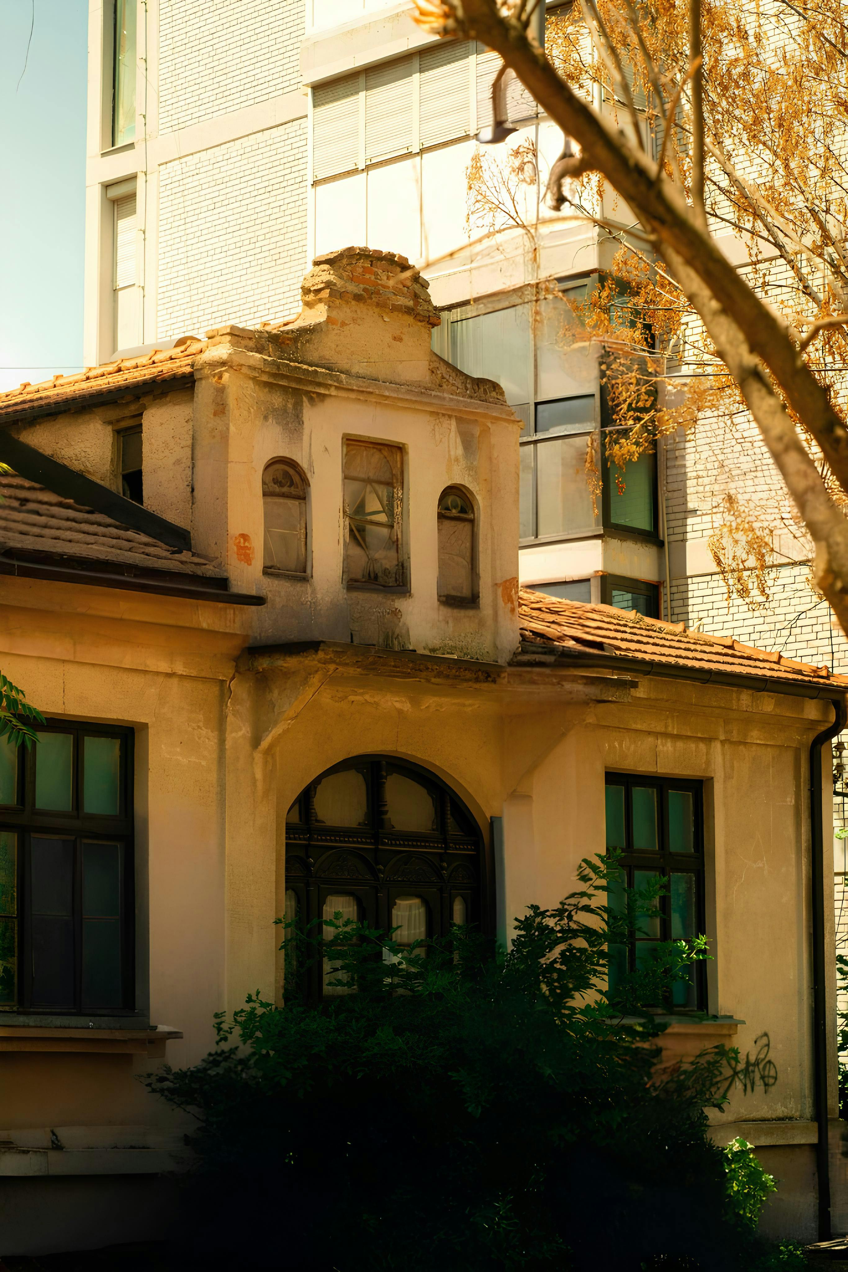 Superman+James+Gunn+Wallpapers+4k Photos, Download The BEST Free ...