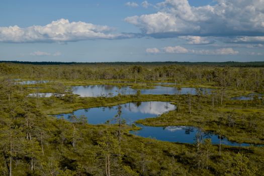 Scenic aerial view of a remote wetland with reflective ponds and lush greenery under a cloudy sky.