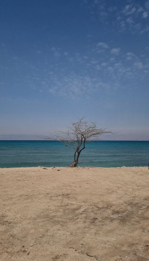 Free Sea Stock Photo