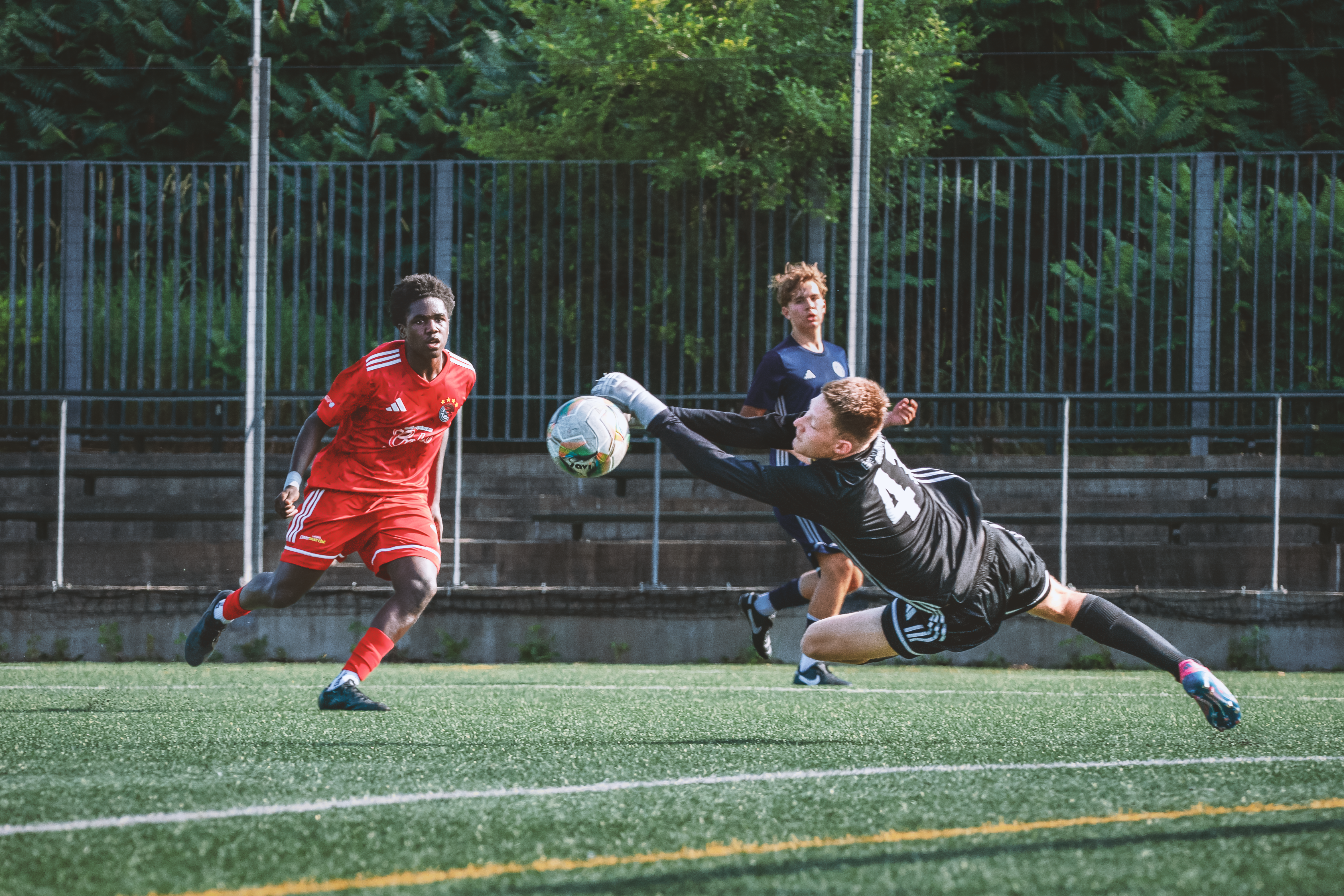 Guide to Sports Coaching Certifications in Canada