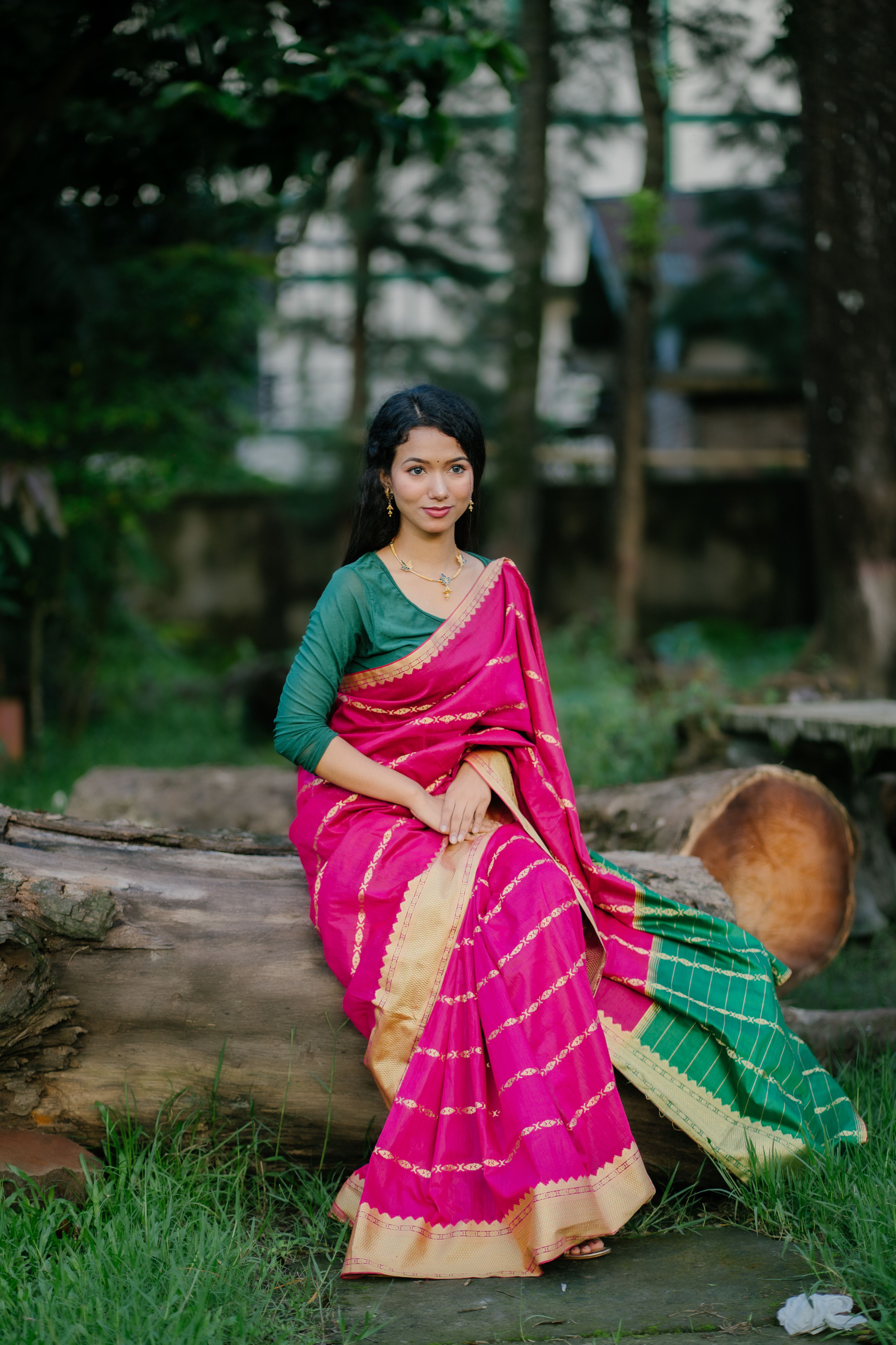 Elegant Woman in Traditional Indian Sari Outdoors · Free Stock Photo