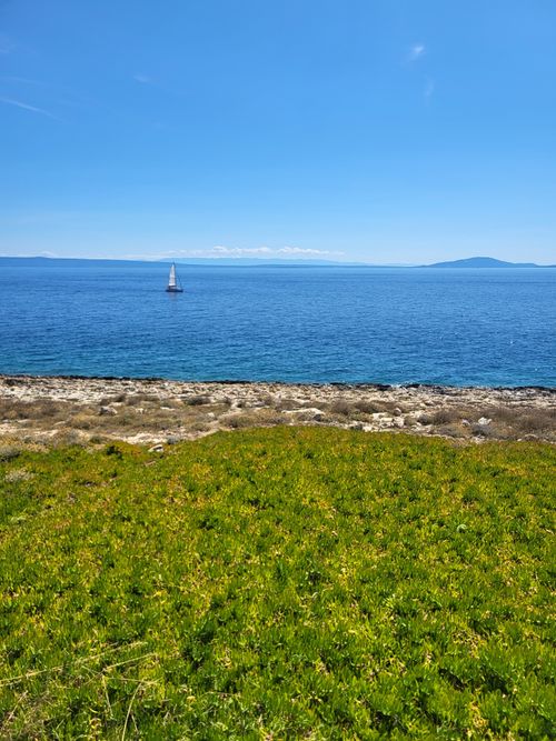 Free Peaceful view of a sailboat on the Adriatic Sea with lush greenery in Croatia. Stock Photo
