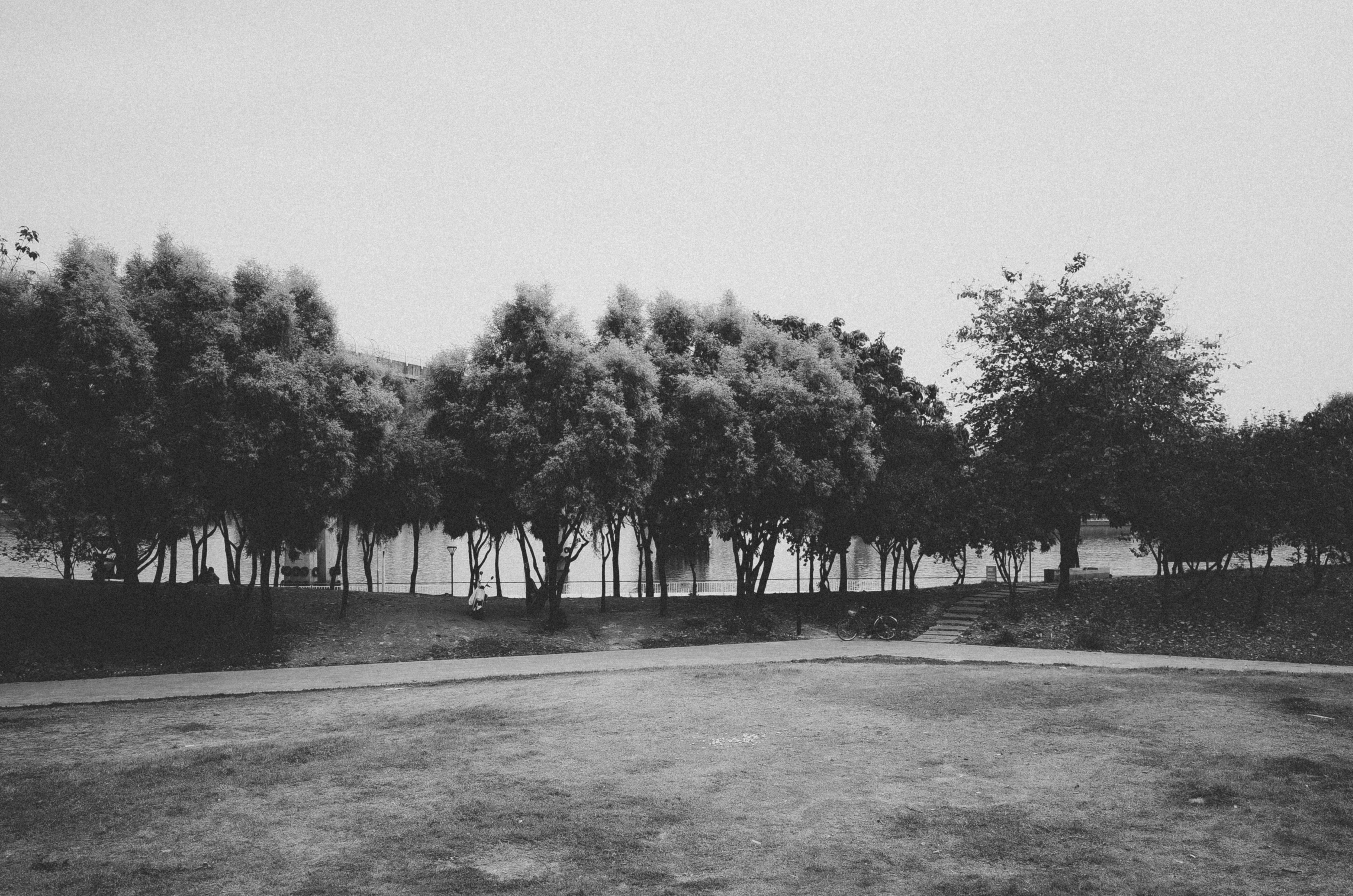 Serene Black and White Park Landscape with Trees · Free Stock Photo