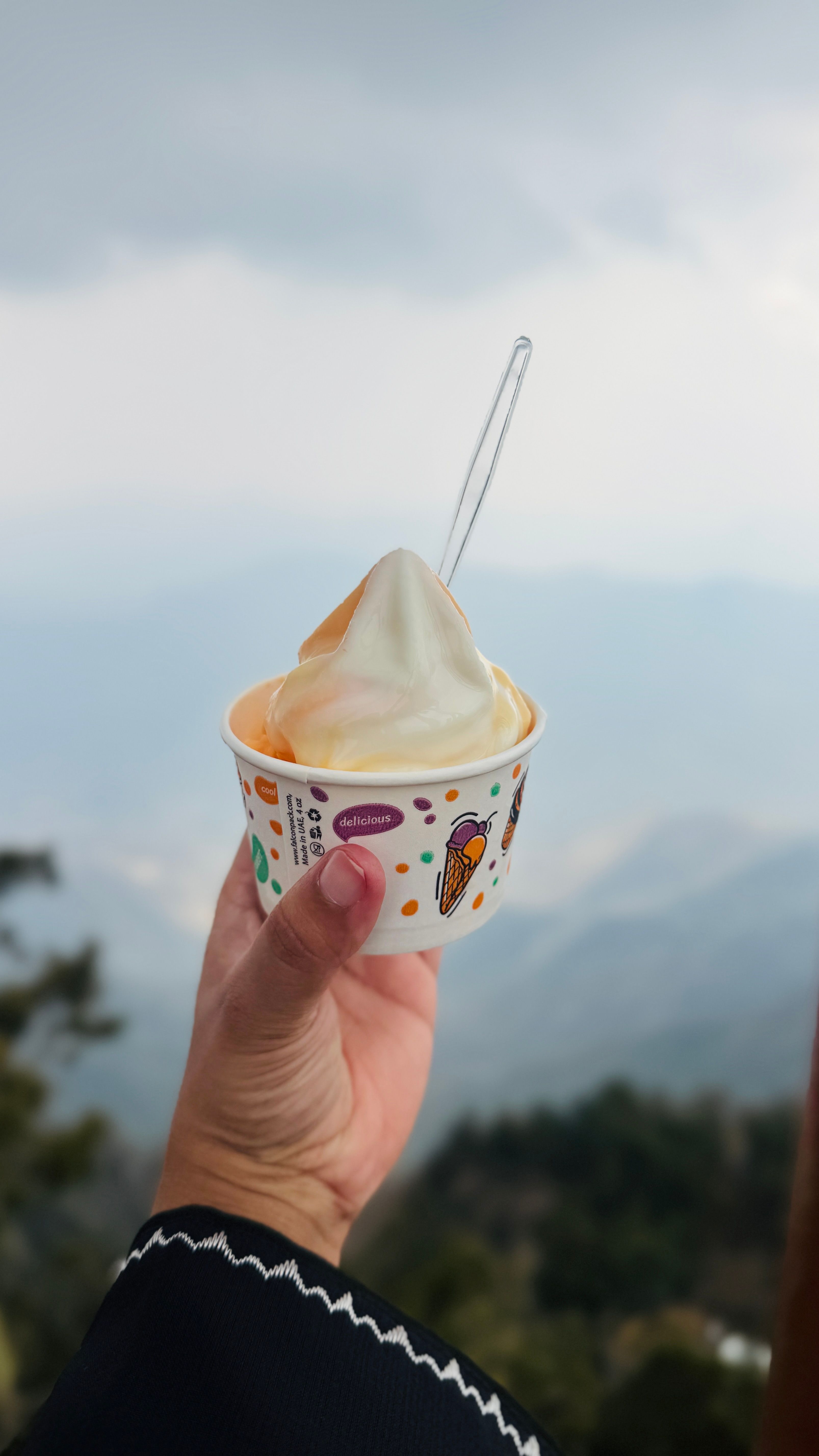 Continuing Your Culinary Adventure