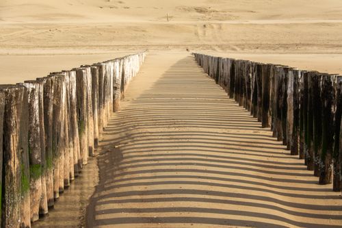 Free Scenic view of wooden pilings casting shadows on a sandy beach during low tide. Stock Photo