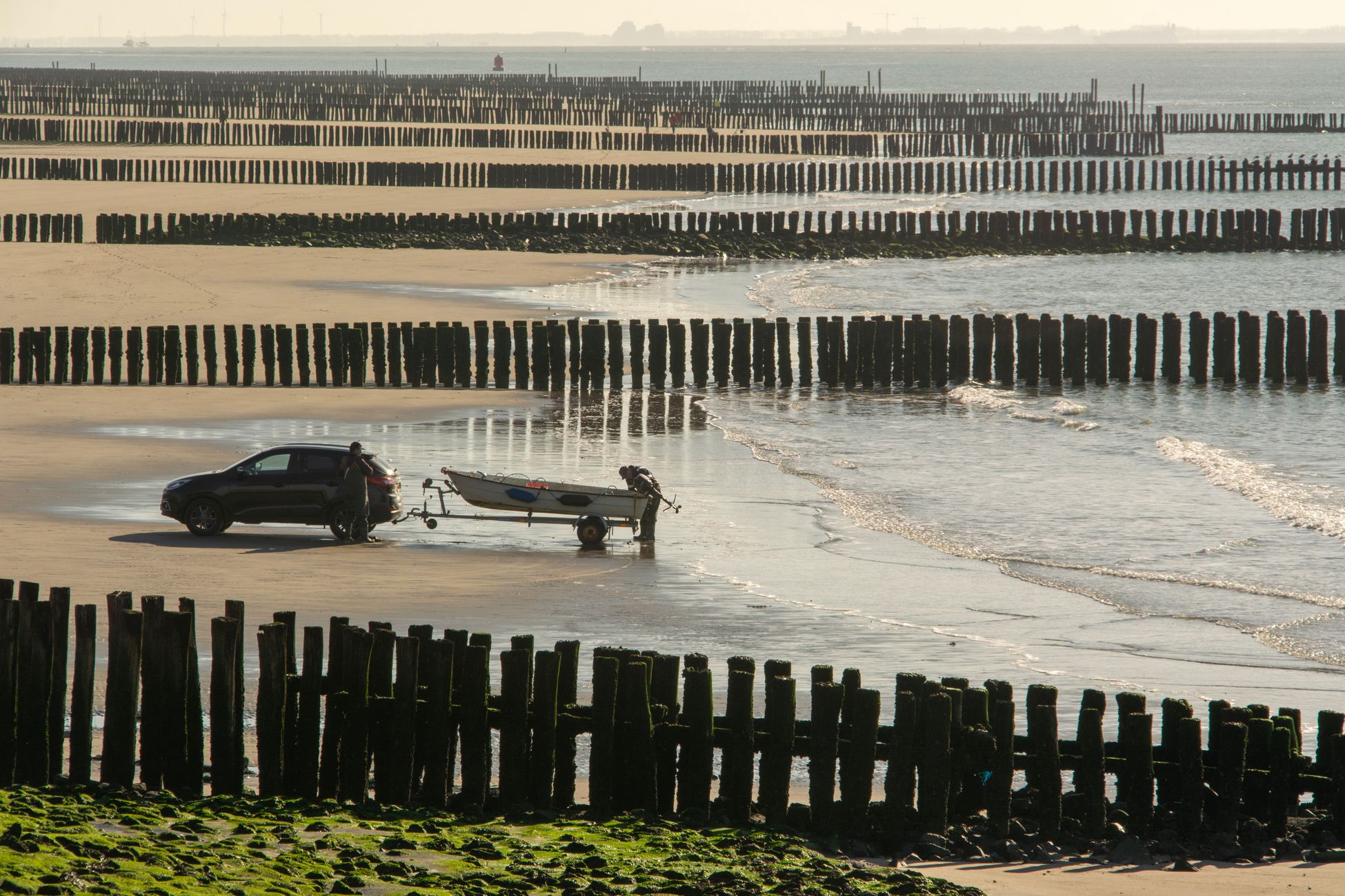 Veiling Hollandse Nieuwe op Vlieland levert recordbedrag op