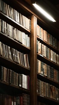 Old library books on wooden shelves under warm lighting, creating a nostalgic atmosphere.