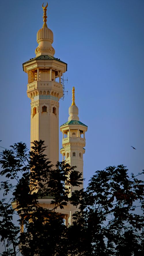 Free Close-up view of the Masjid al-Haram minarets against a clear sky, framed by silhouettes of trees. Stock Photo
