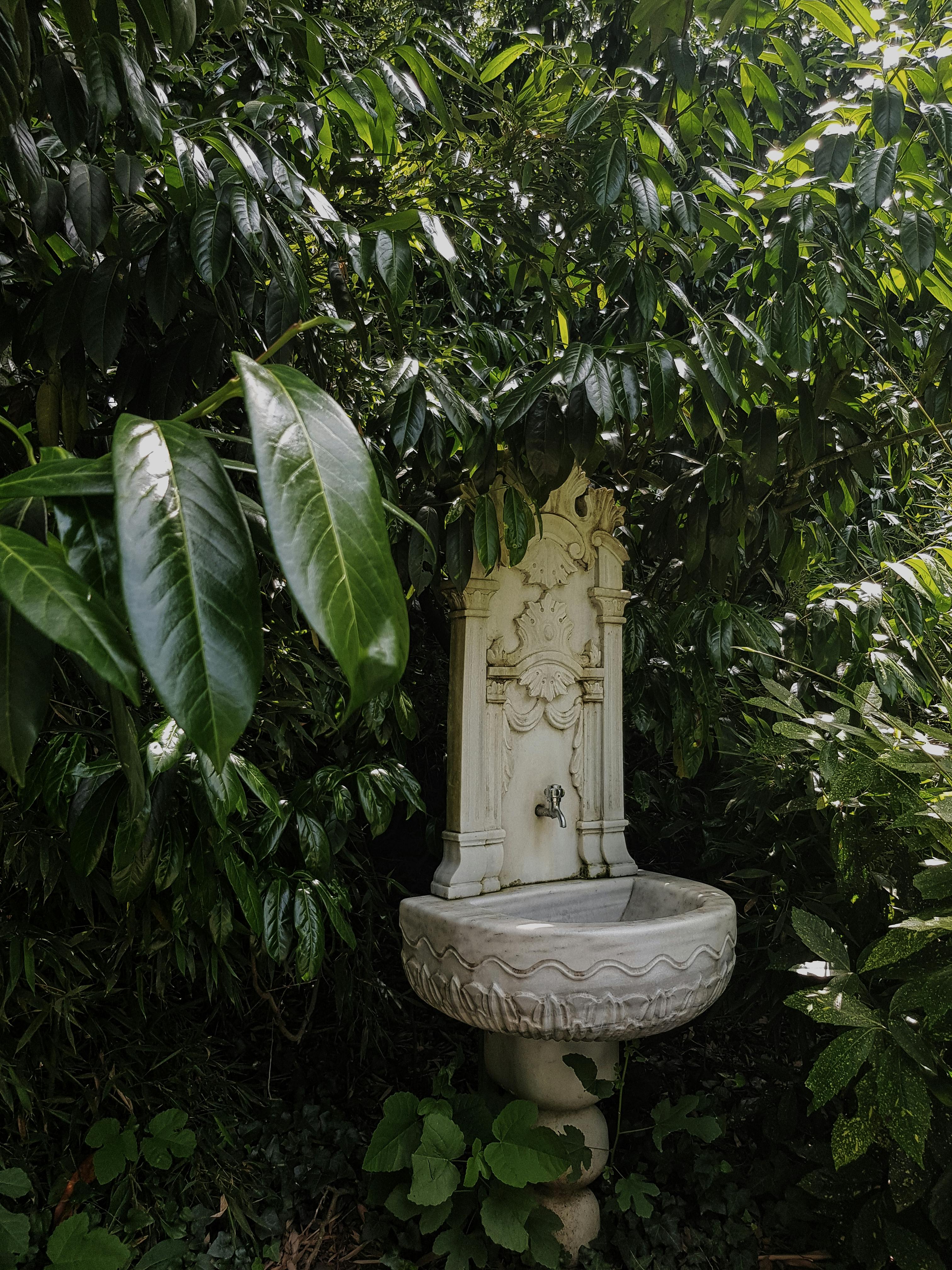 Elegant marble fountain nestled in vibrant green foliage captures a serene garden vibe.