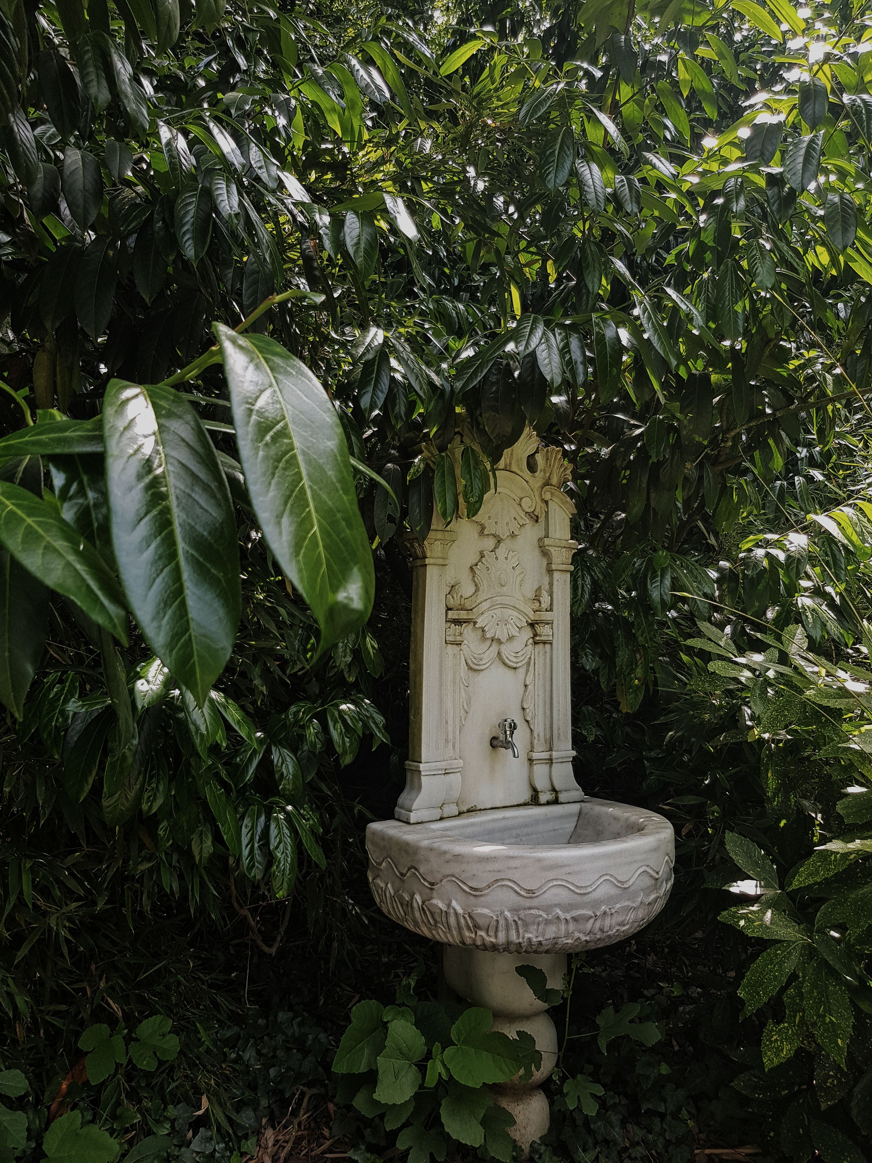 Ornate Garden Fountain Hidden Among Lush Greenery · Free Stock Photo