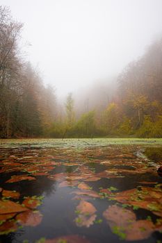 Serene foggy morning at Bolu Lake with vibrant autumn foliage reflecting in the calm waters.