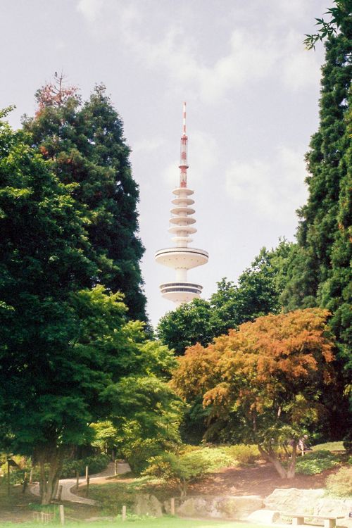 Free Hamburg’s TV Tower Through Summer Trees – 35mm Analog Shot Stock Photo