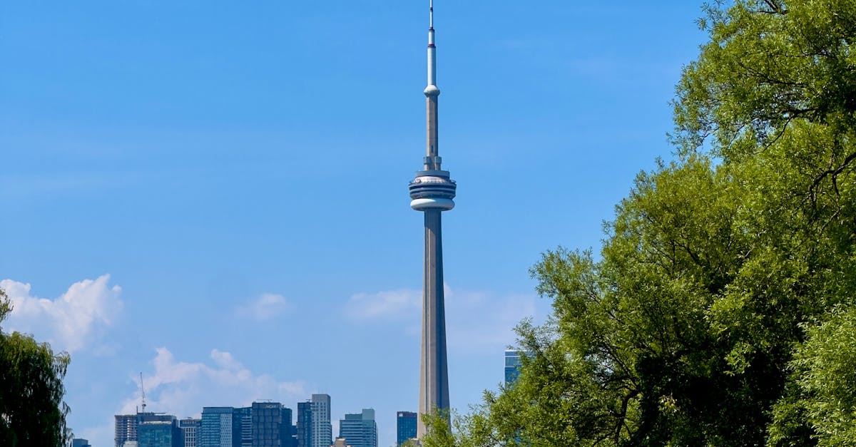 盛夏有禮 元大銀推出 數位理財家Chill一夏 活動 輕鬆理財享好禮