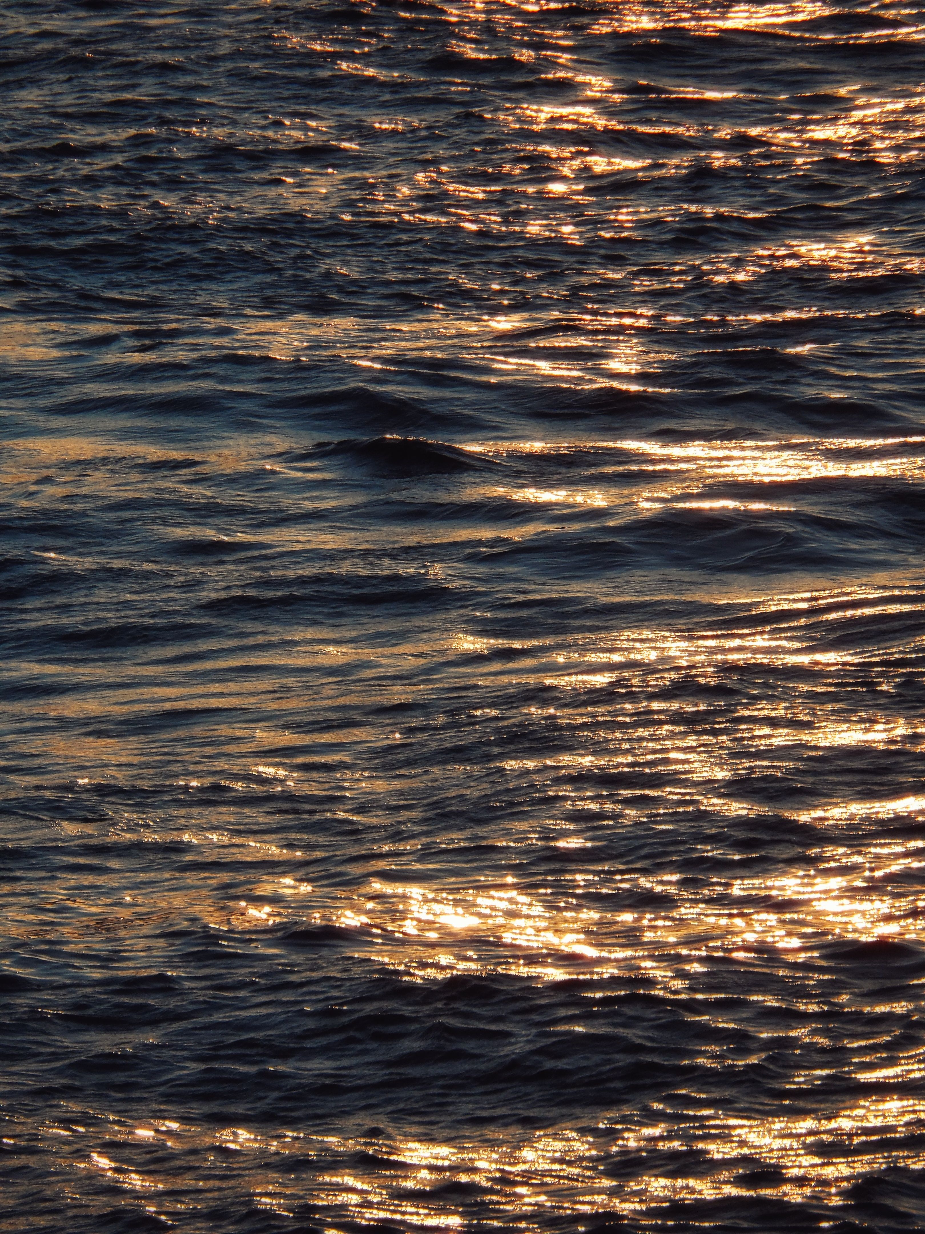 Golden Sunlight Reflecting on Ocean Waves · Free Stock Photo