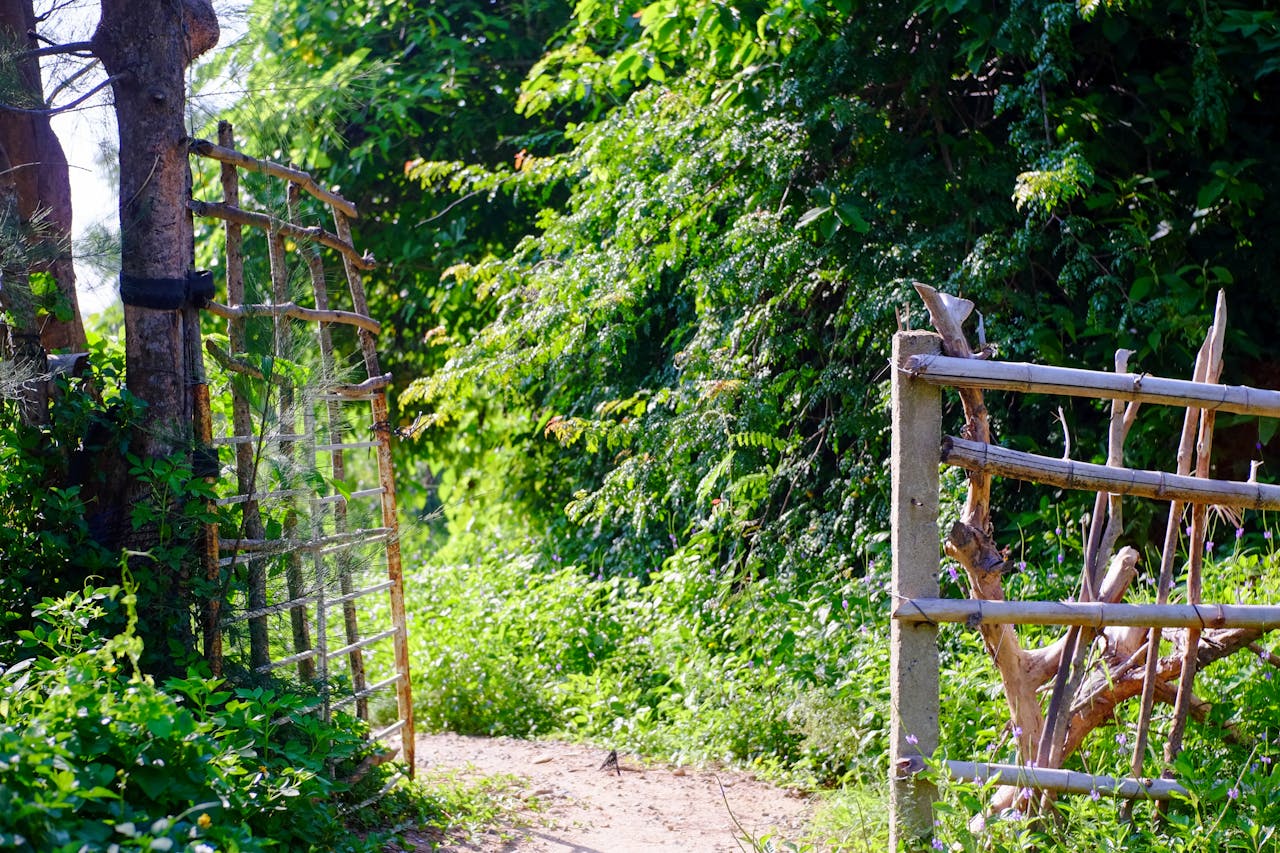 6 cuốn sách định hình triết học Nhật Bản