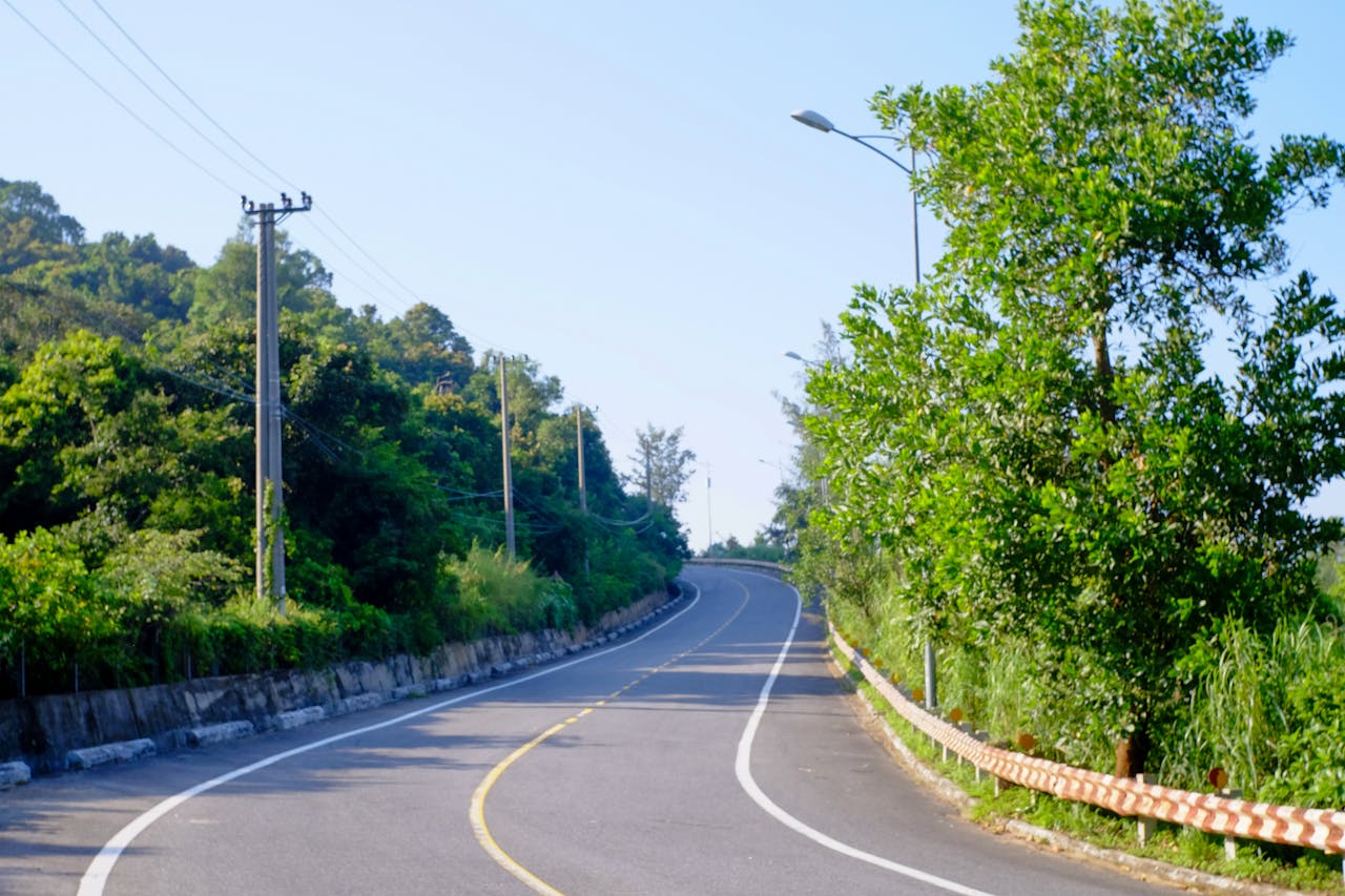 Cách mà Junk DNA dẫn đến việc con người không có đuôi