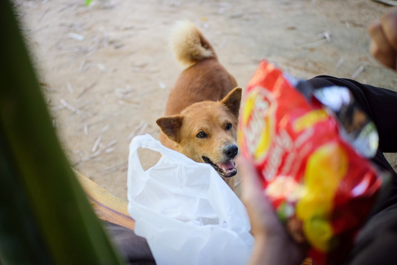 Top địa điểm du lịch Phú Quốc nên trải nghiệm