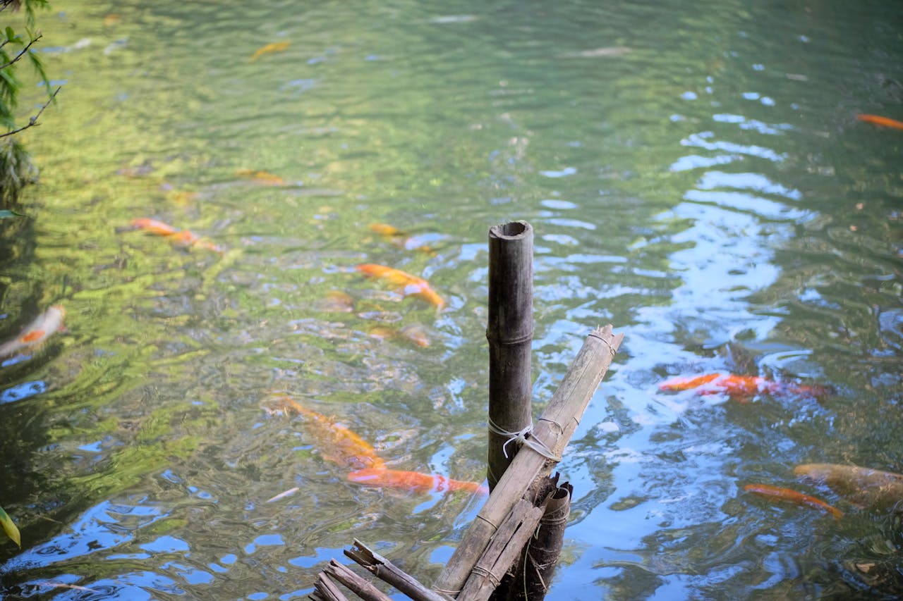 Giao thoa toán học và triết học qua Turing