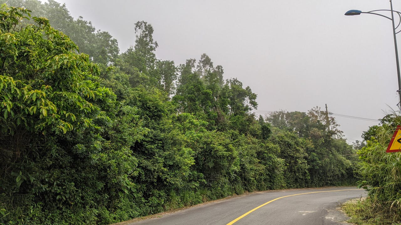 Bộ não đưa ra quyết định trong tích tắc