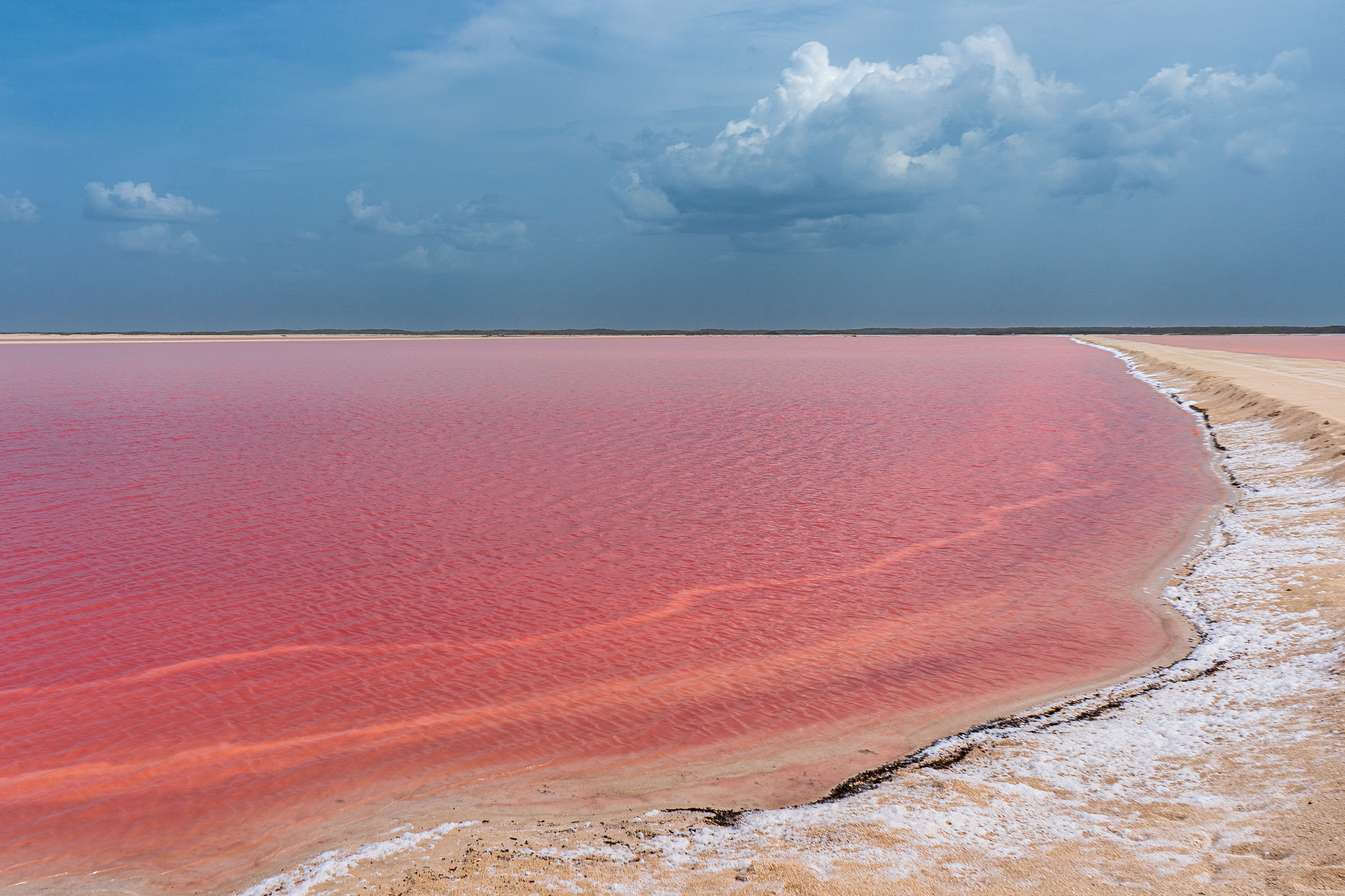 Lac Rose