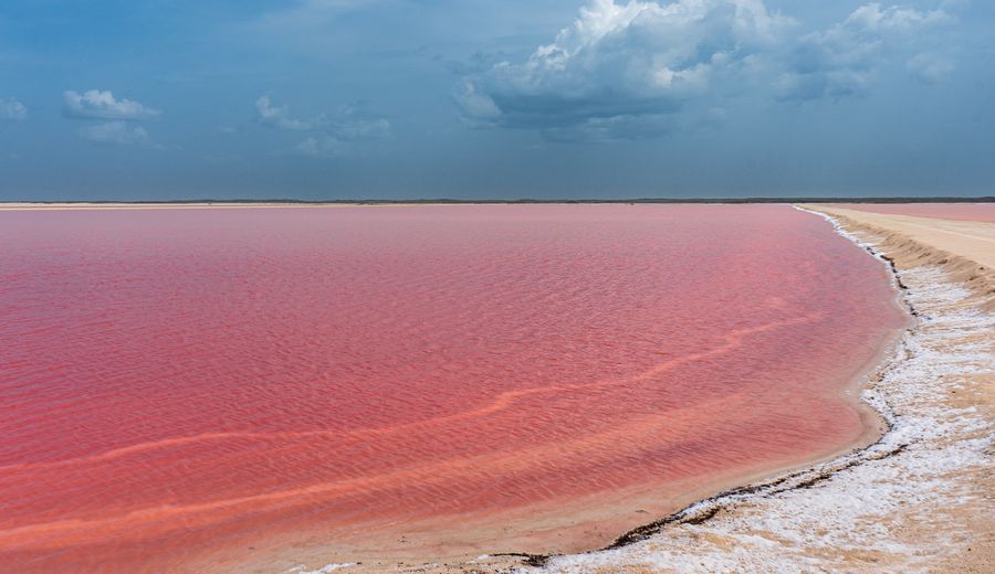 Lac Rose