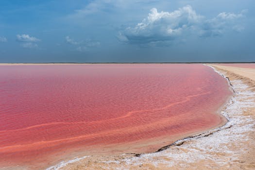 A breathtaking pink salt lake contrasts with a vivid blue sky and cotton clouds.