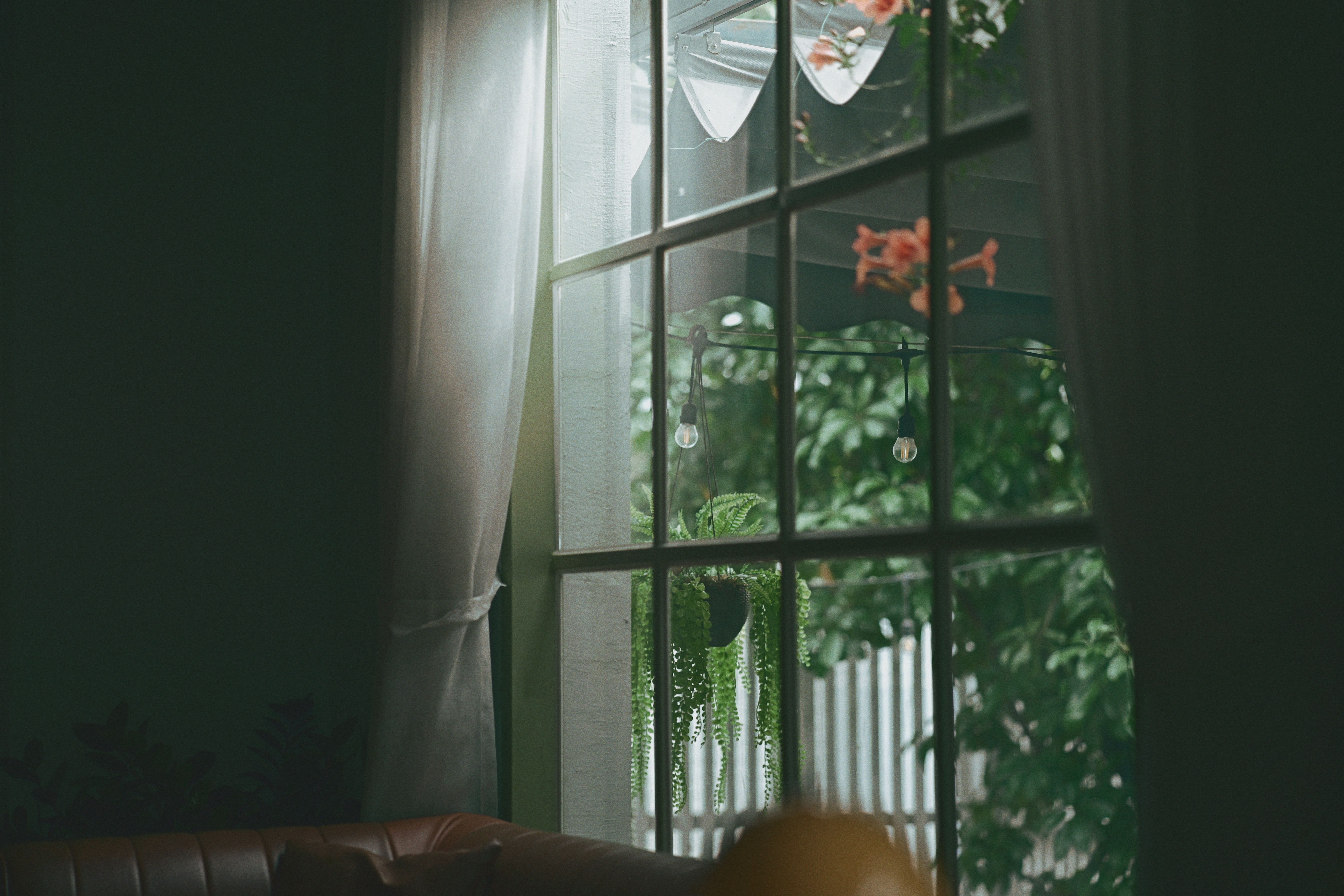 Cozy Living Room View Through Draped Window · Free Stock Photo