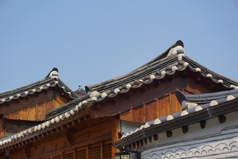 전진숙(더불어민주당) 의원의 제22대 대표발의 98건은 어느 분야에 몰렸을까 글 대표 사진