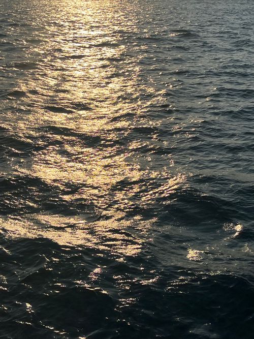 Free Golden sunset reflecting on Bosphorus waves in İstanbul, capturing serene waterfront beauty. Stock Photo