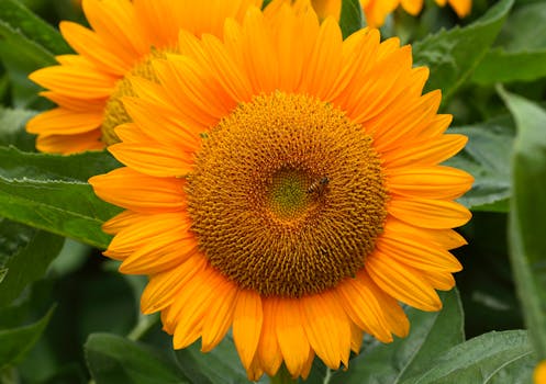 Image by chatchai kurmbabpar