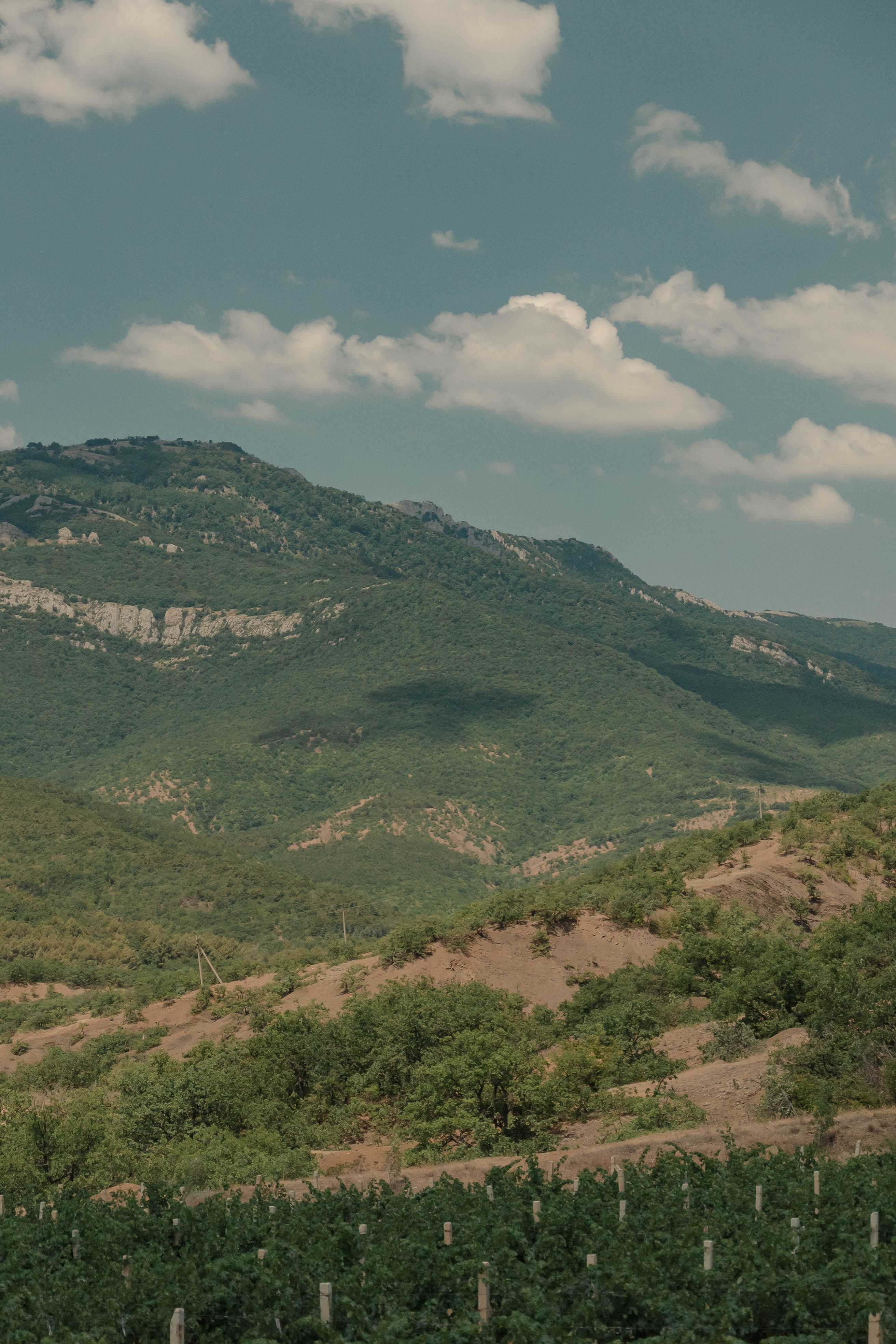 Scenic Mountain View with Lush Greenery · Free Stock Photo
