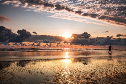 Person Walking on Seashore