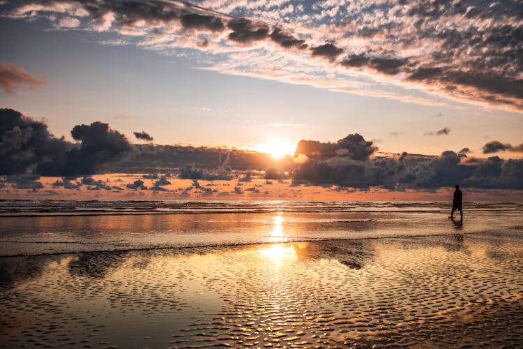 Person Walking On Seashore