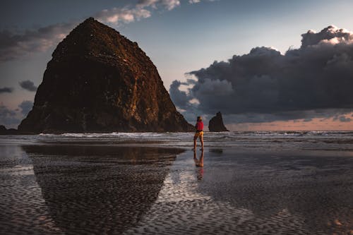 Personne Qui Marche Au Bord De La Mer