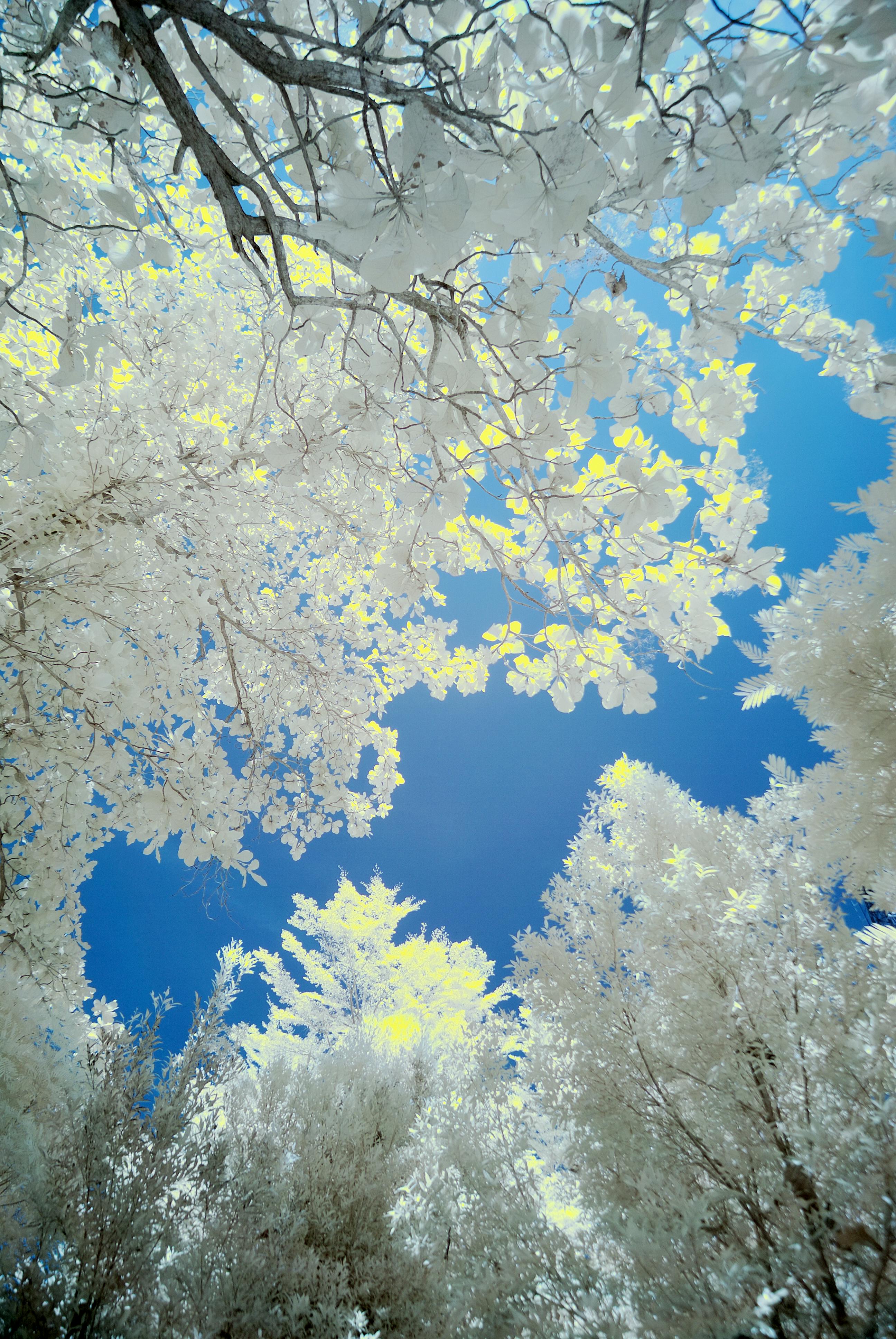 10 000  Foto Memek indonesia Terbaik · Unduh Gratis 100% · Foto Stok Pexels