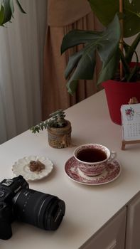 Warm, artistic indoor scene of tea, plants, and camera, perfect for lifestyle inspiration.